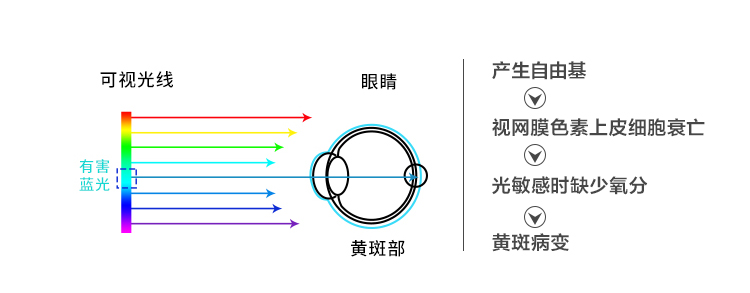 藍(lán)光是怎么傷害眼睛的圖片